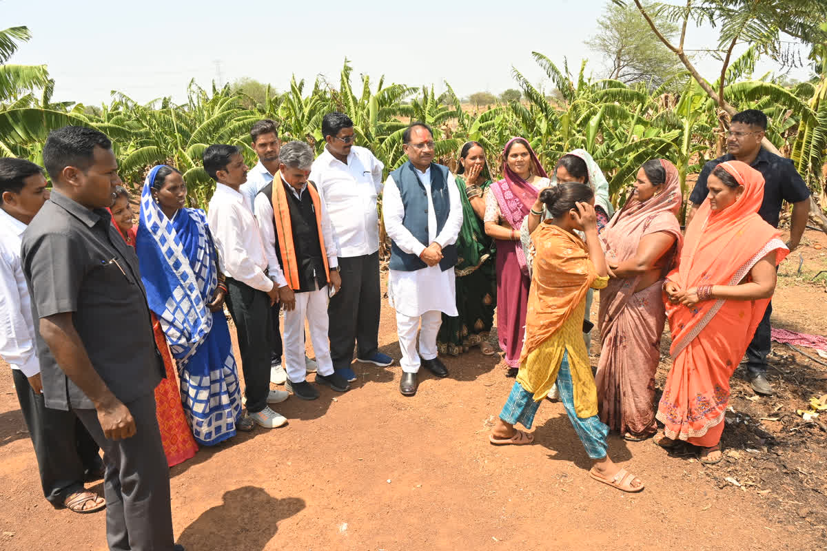 CM Sai in Rohit Sahu Farm/ Image Credit: CGDPR