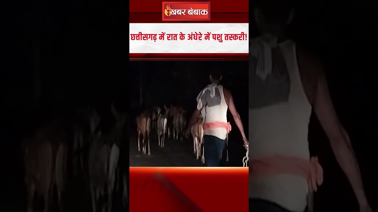 Animal smuggling in the dark of night