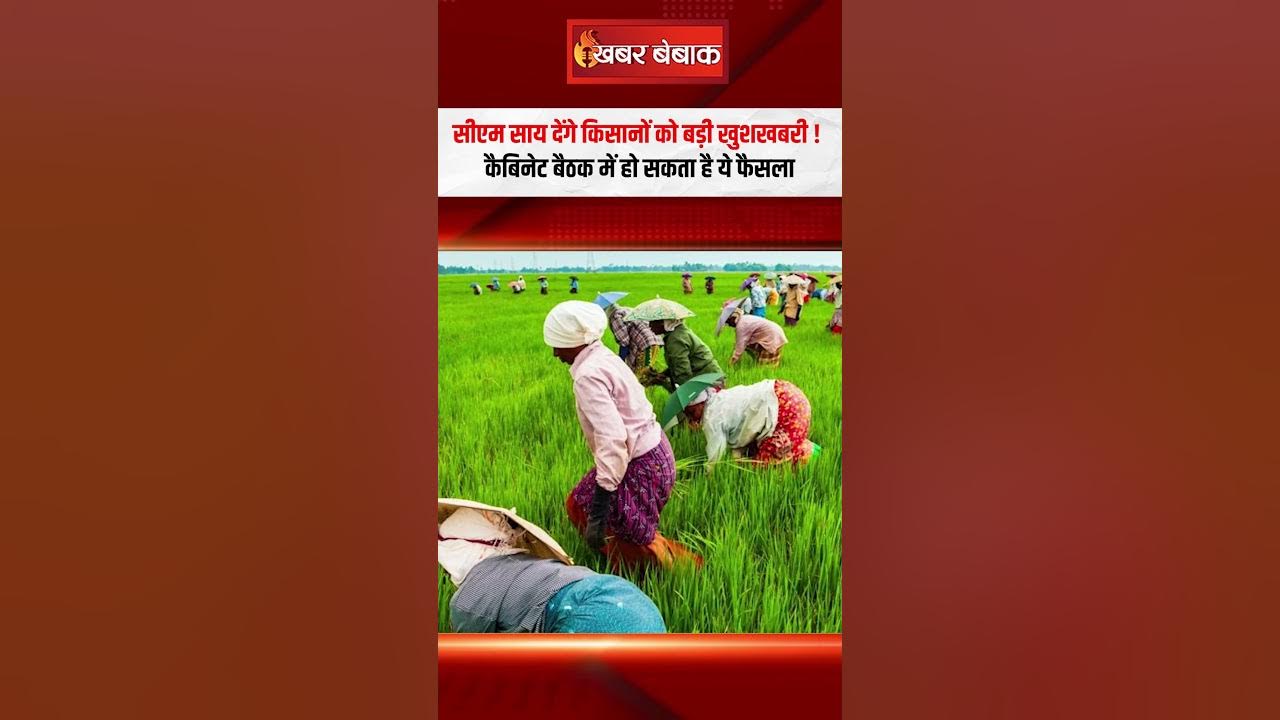 CM Vishnudeo Sai देंगे किसानों को बड़ी खुशखबरी? Cabinet Meeting में हो सकता है ये फैसला | CG Kisan
