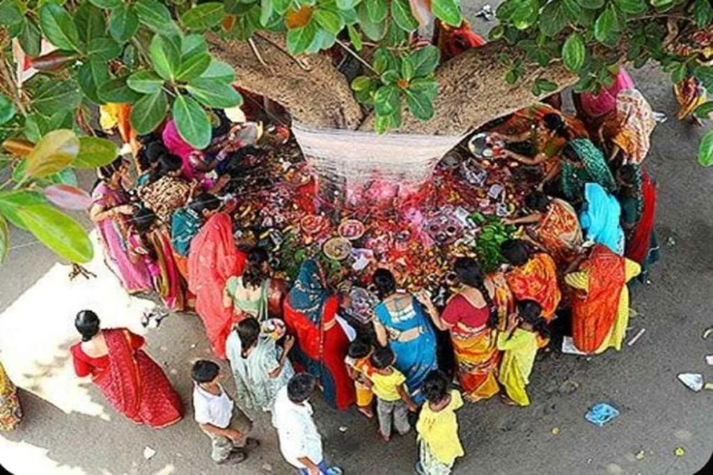 Vat Savitri Vrat Katha 2025/ Image Credit: Pinterest