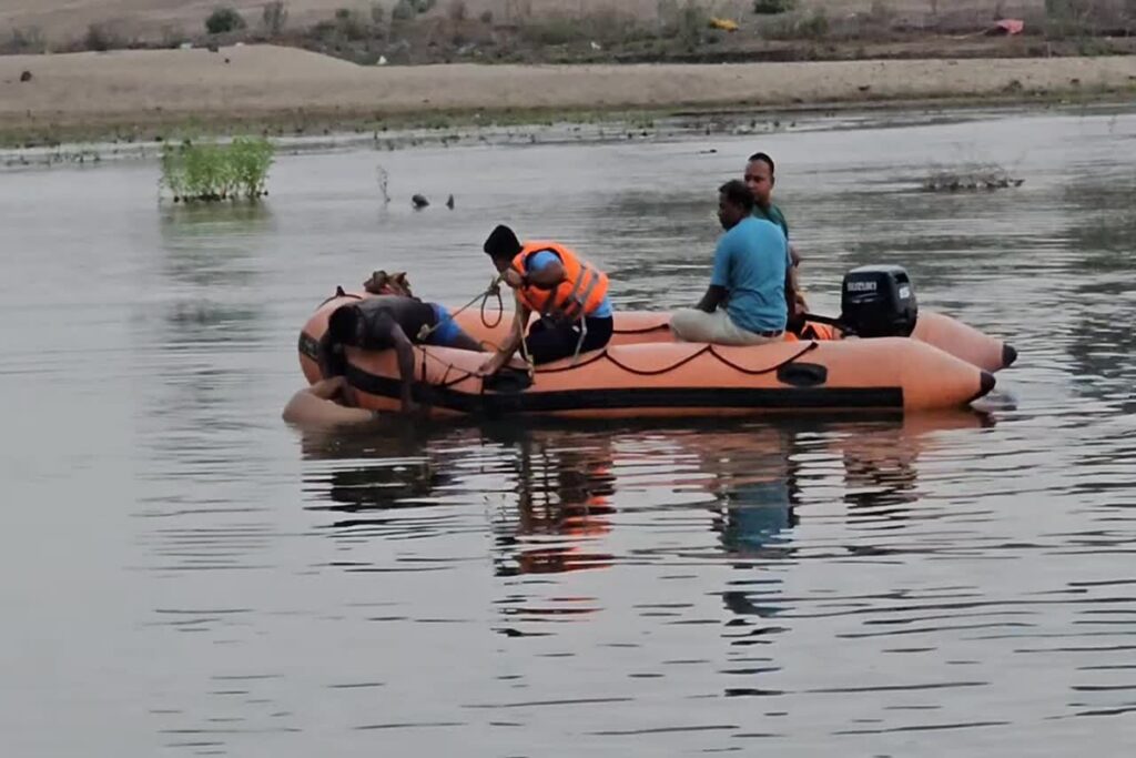 Mandla News, image source: ibc24