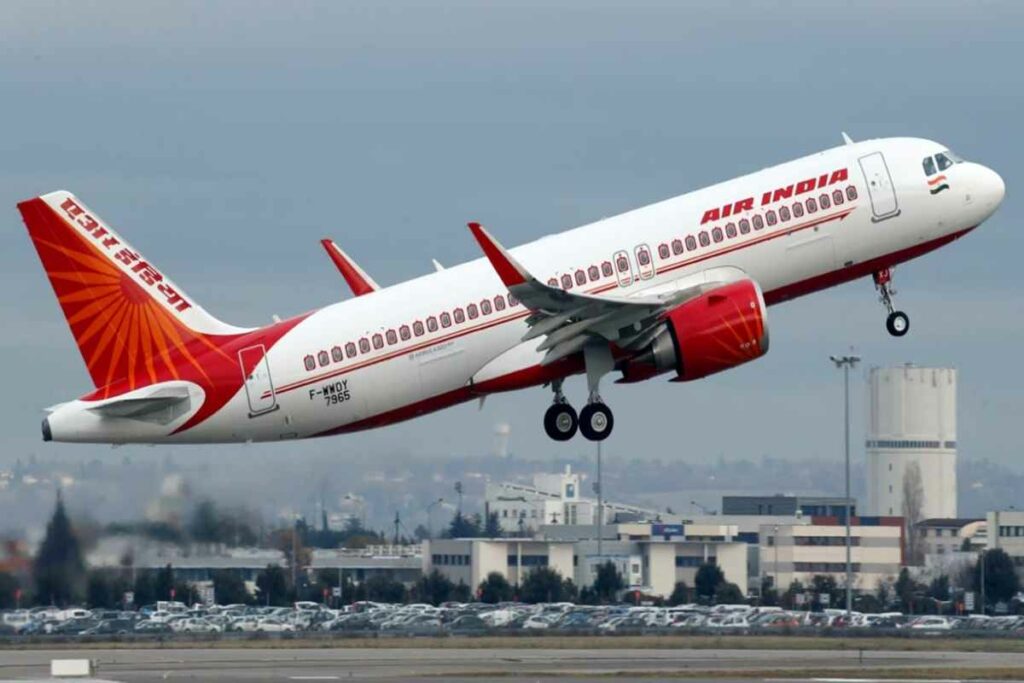 Air India Flight AI315/Image Credit: IBC24 File