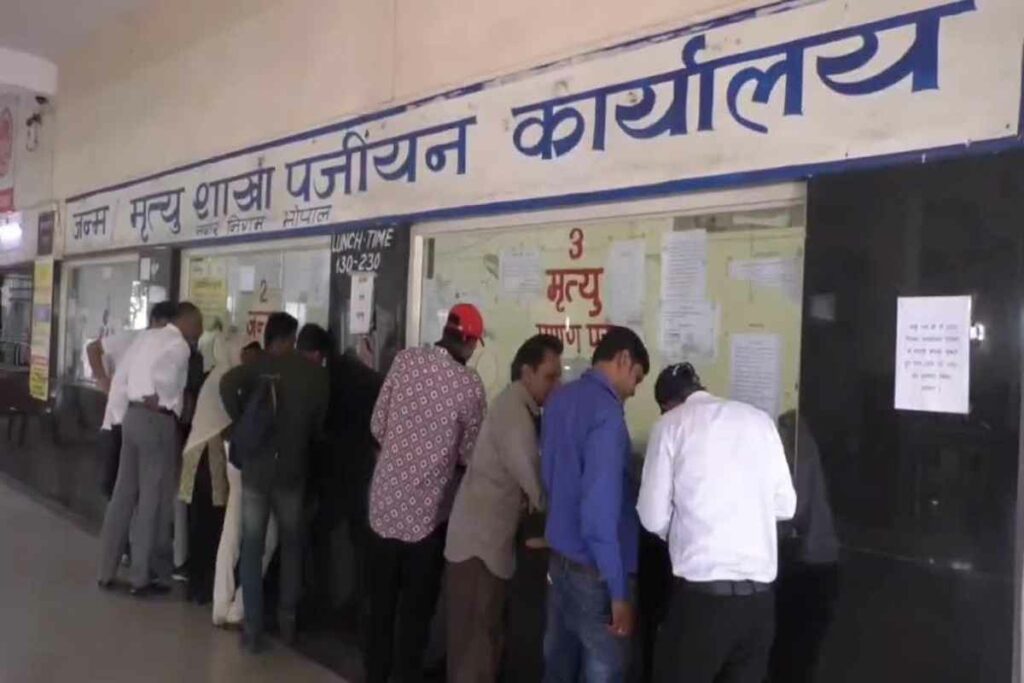 Fake Certificate/ Image Credit: IBC24