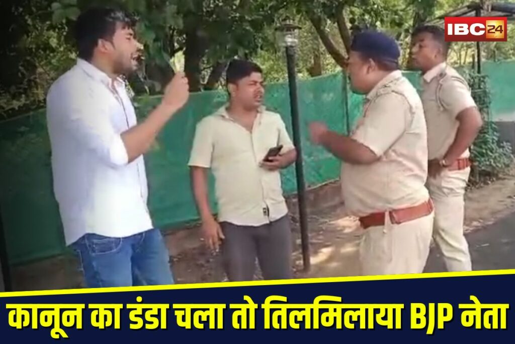 BJP Leader Viral Video | Image Source | IBC24