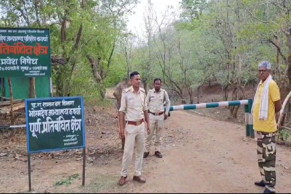 Bhoramdev Jungle Safari/ Image Credit: IBC24