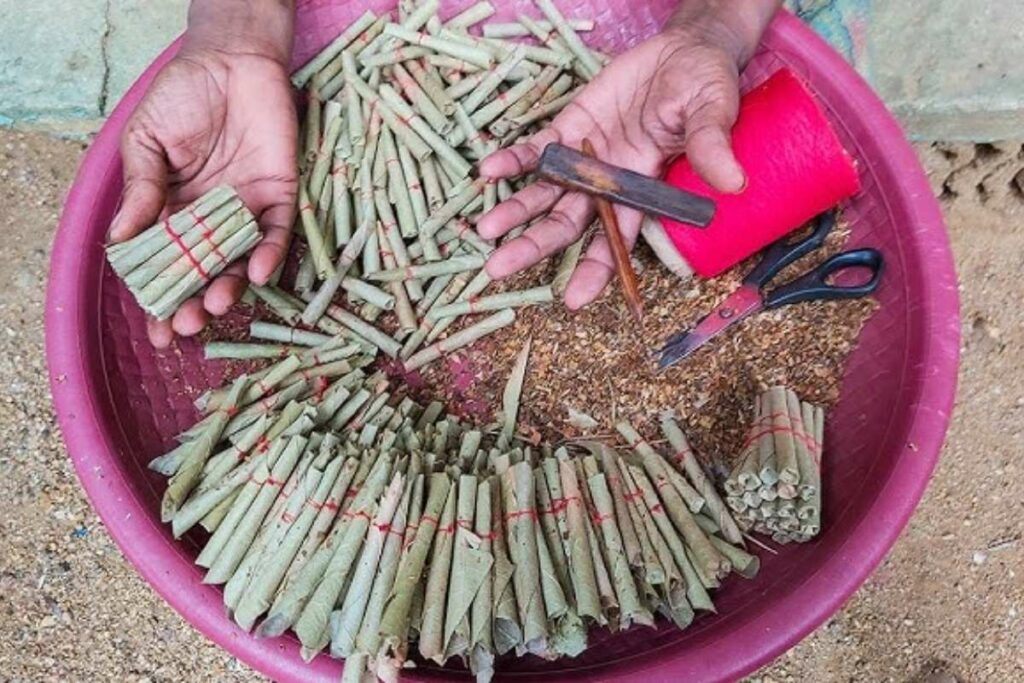 Scholarship Notification 2025: बीड़ी बनाने वालों के बच्चों के सिर पर सरकार ने रखा हाथ / Image Source: File