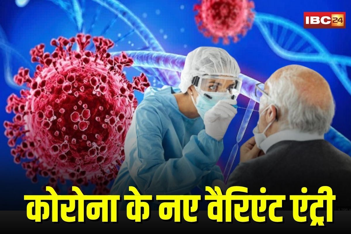 Corona News: भोपाल, इंदौर, ग्वालियर के बाद जबलपुर में भी कोरोना के नए वैरिएंट की एंट्री, 80 वर्षीय बुजुर्ग पॉज़िटिव, स्वास्थ्य विभाग हाई अलर्ट पर