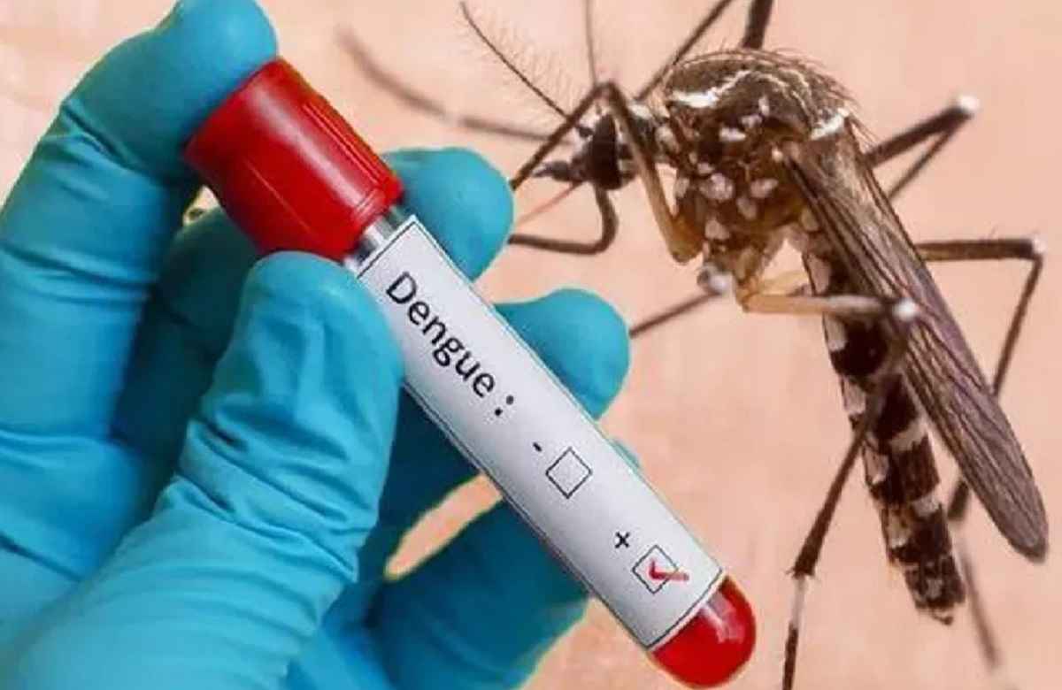Dengue Case in Chhattisgarh: छत्तीसगढ़ के इस जिले में बढ़ने लगा डेंगू का प्रकोप.. मिले 40 से ज्यादा पॉजिटिव केस