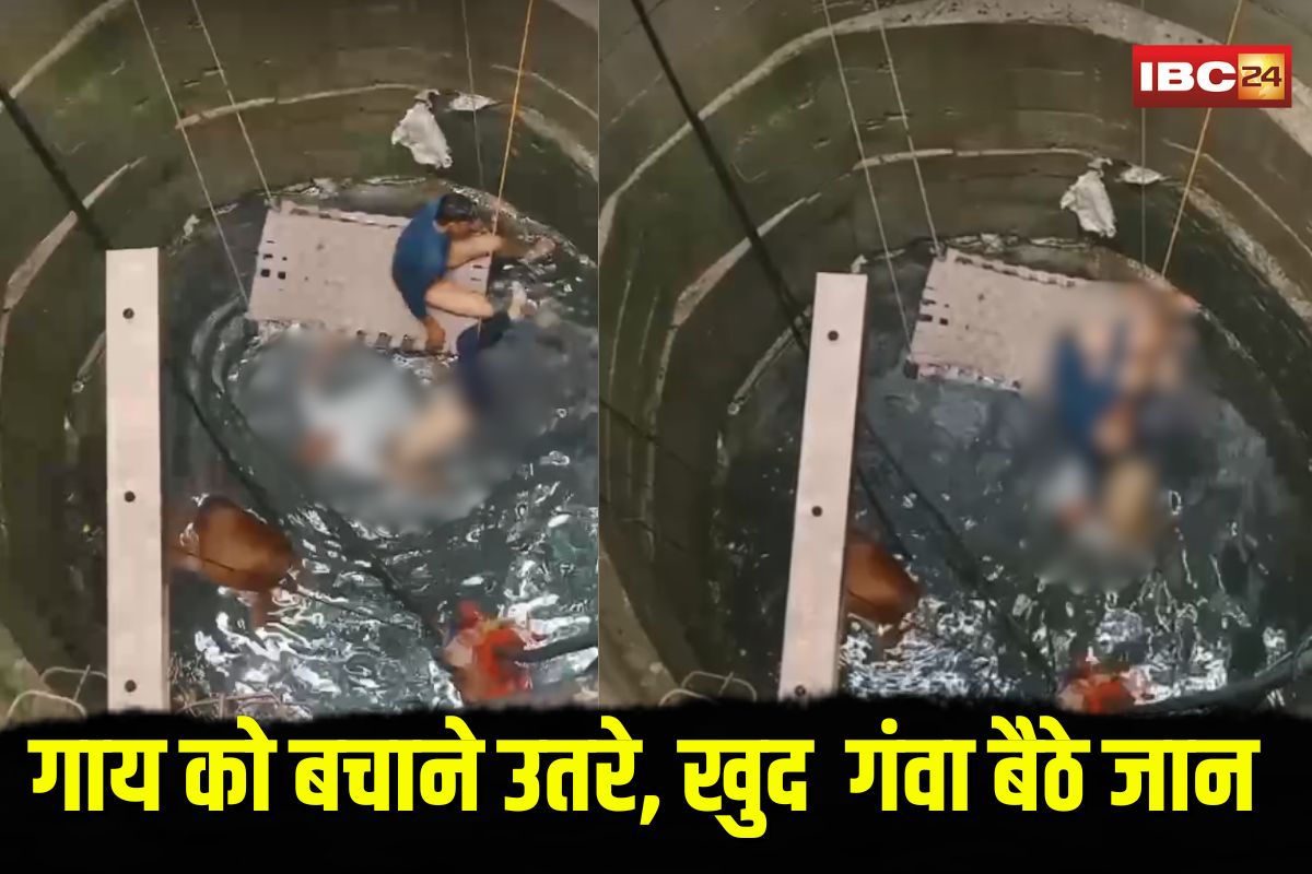 Guna Well Accident: गाय को बचाने उतरे, खुद  गंवा बैठे जान.. गुना में कुएं में दम घुटने से 5 की मौत, लाइव वीडियो आया सामने
