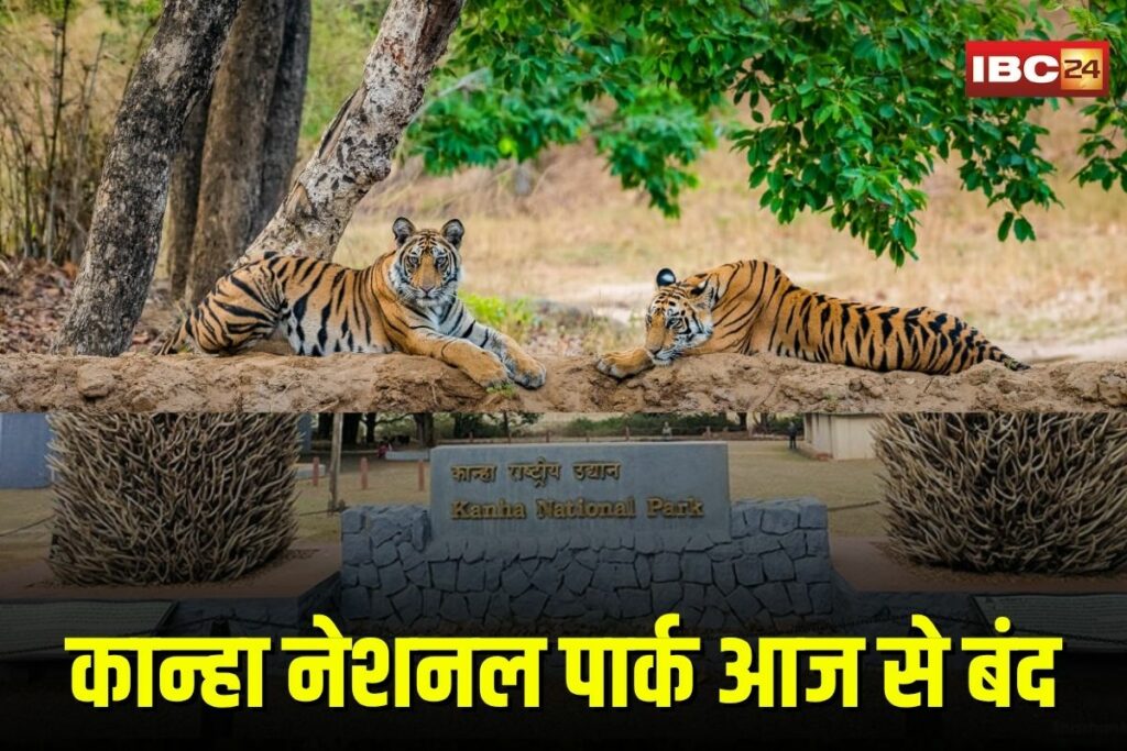 Kanha National Park | image Source | IBC24