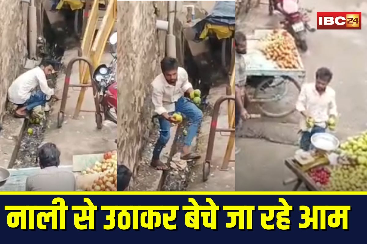 Khandwa Viral Video: नाली से निकाले आम, ठेले पर सजाकर बेचने पहुंचा.. वायरल वीडियो देख लोग बोले- अब फल खाने से डर लगने लगा है