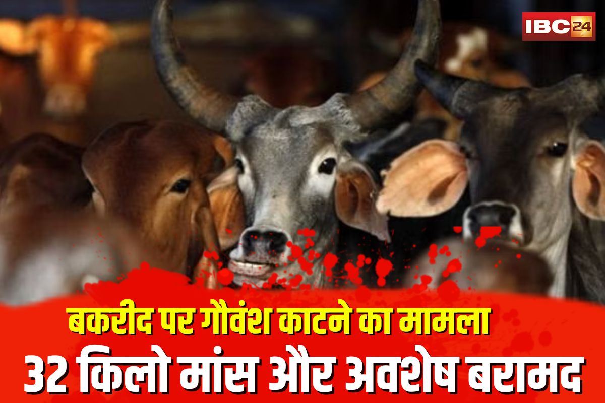 Khargone News: बकरीद पर गौवंश की हत्या, 7 लोग पहुंचे सलाखों के पीछे, 32 किलो मांस और अवशेष बरामद