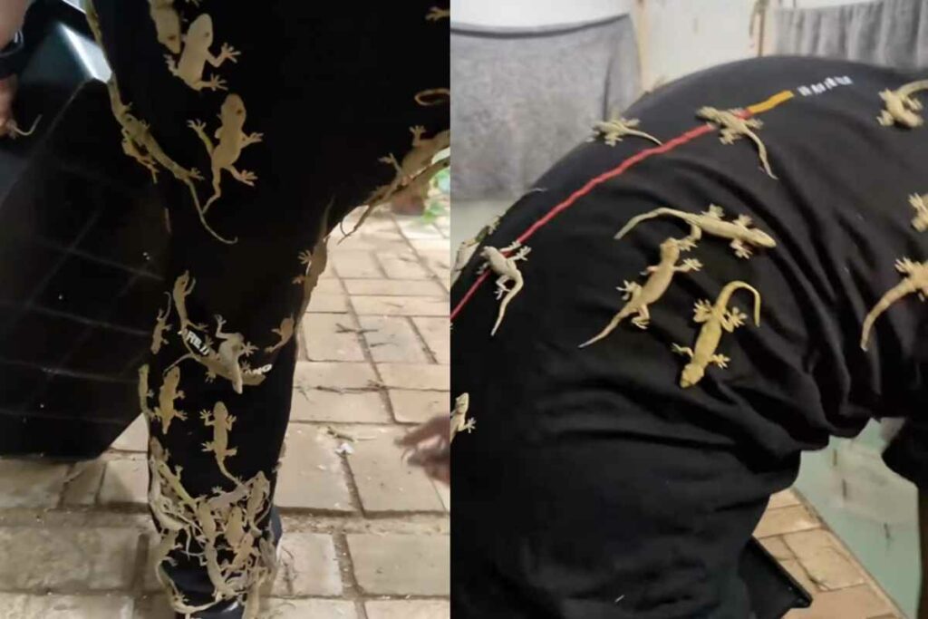 Lizard Man Video Viral/Image Credit: @sports.jx.china