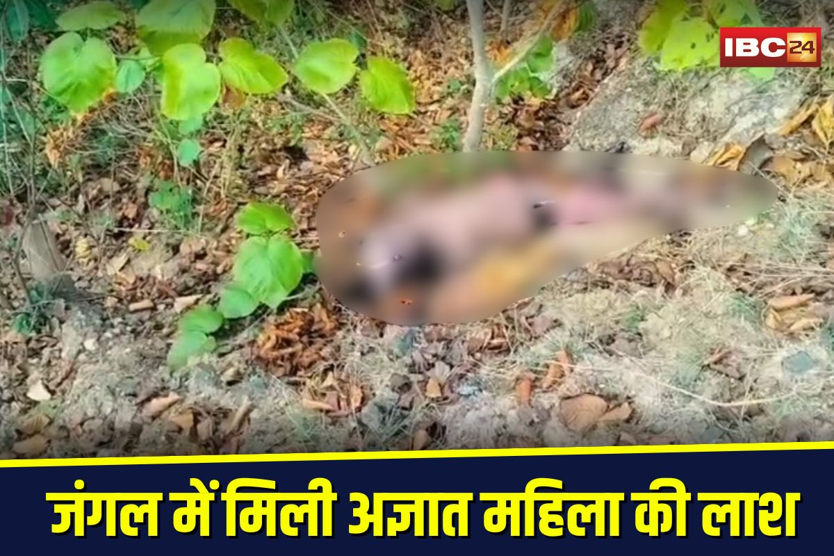 Mandla Crime News: जंगल में मिली अज्ञात महिला की सड़ी गली लाश, रहस्यमय मौत से मचा हड़कंप, जांच में जुटी पुलिस