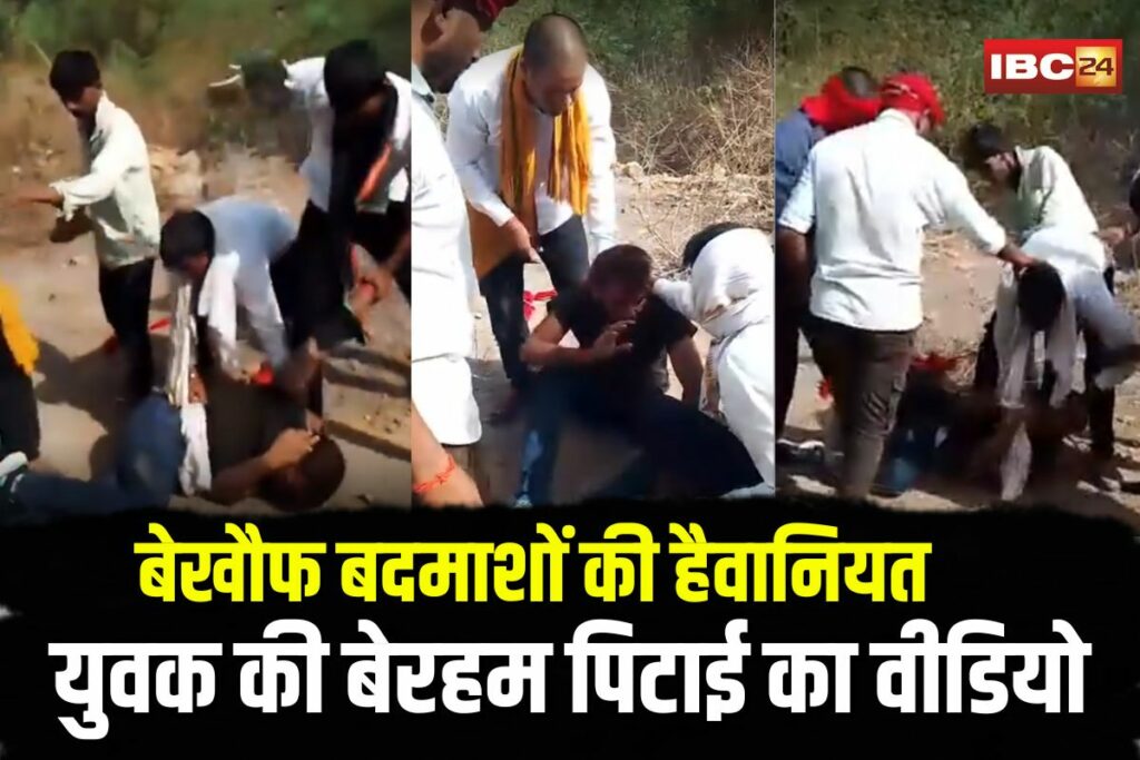 Marpeet Ka Viral Video | Image Source | IBC24