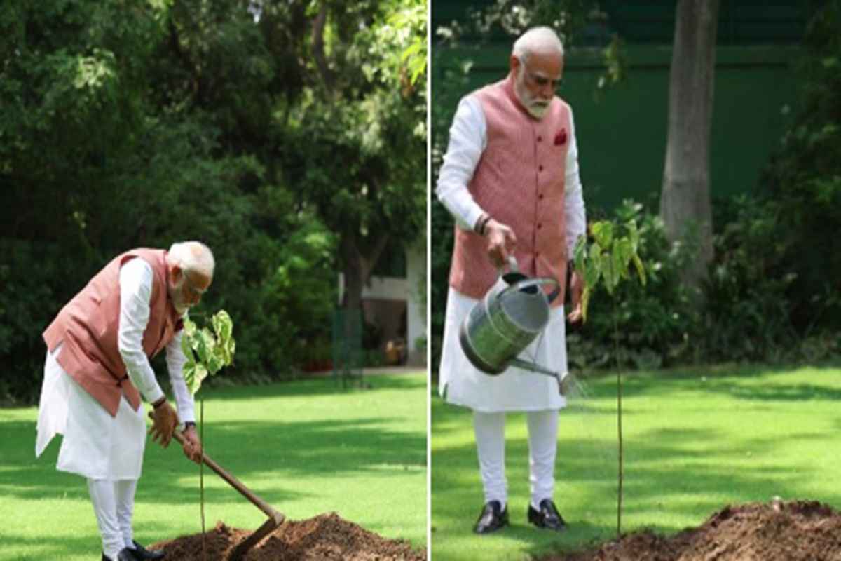 World Environment Day: विश्व पर्यावरण दिवस के मौके पर PM मोदी ने पीएम आवास पर लगाया सिंदूर का पौधा, कहा-‘नारीशक्ति के शौर्य और प्रेरणा का सशक्त प्रतीक…’