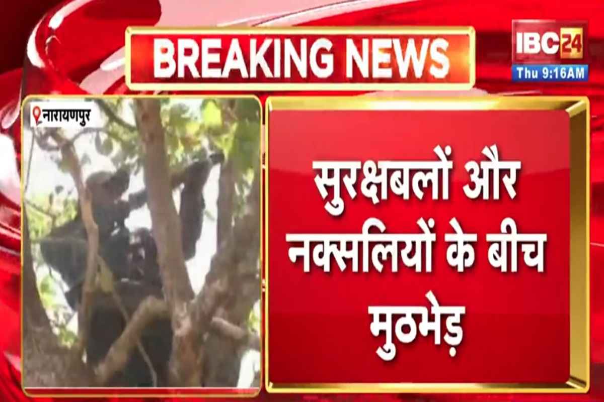 Narayanpur Naxal Encounter: भारी बारिश के बीच मुठभेड़ जारी.. 2 महिला नक्सलियों के शव बरामद, दो दिनों से चल रहा बड़ा ऑपरेशन