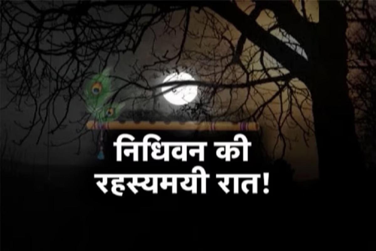 Nidhivan ka Rahasya : रहस्यमयी कहानियों से घिरा है वृन्दावन का निधिवन.. सूर्यास्त के बाद निधिवन में प्रवेश क्यों है निषेध?