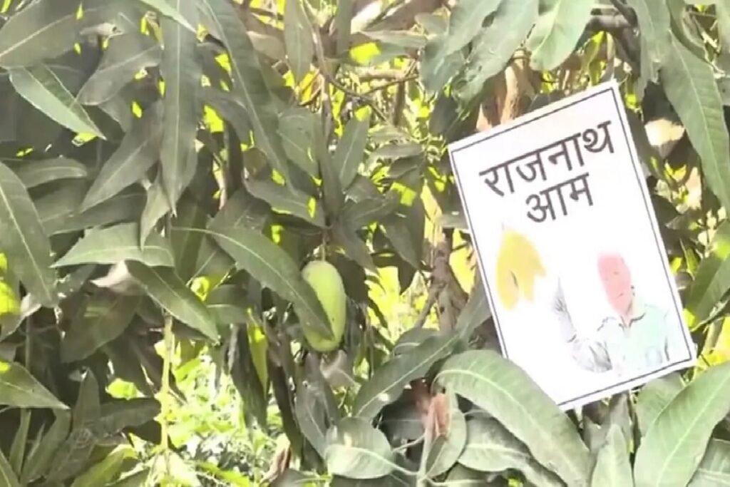 Rajnath Mango/ Image Credit: ANI X Handle