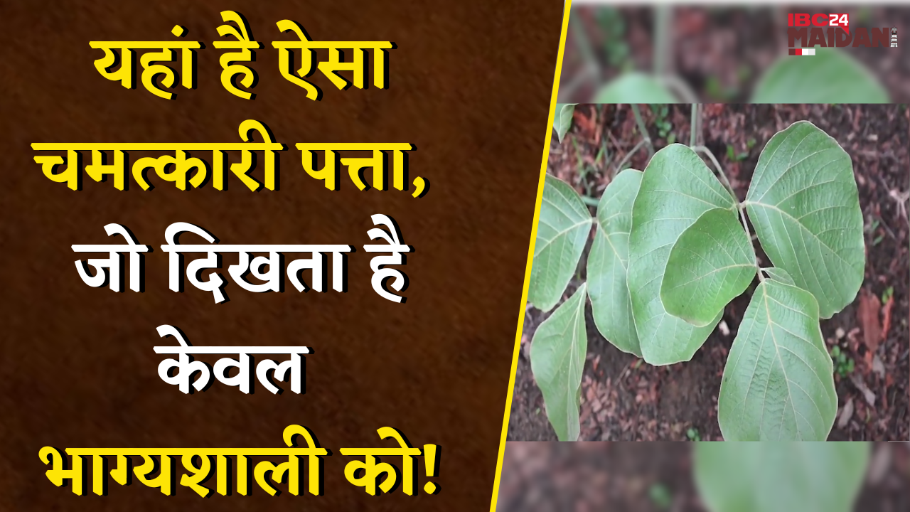 यहां से निकलने वाली नदी जो Chhattisgarh की लोगों की बुझा रही है प्यास | Mohla- Manpur