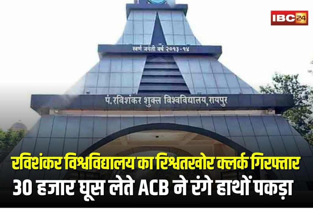 Raipur News | Image Source | IBC24