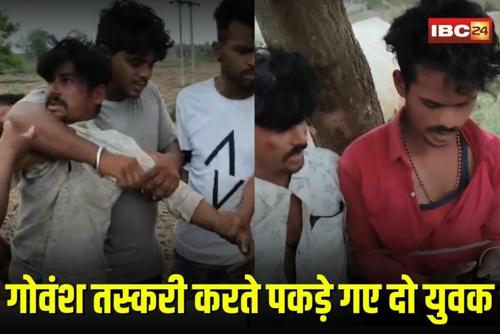 Shajapur Viral Video | Image Source | IBC24