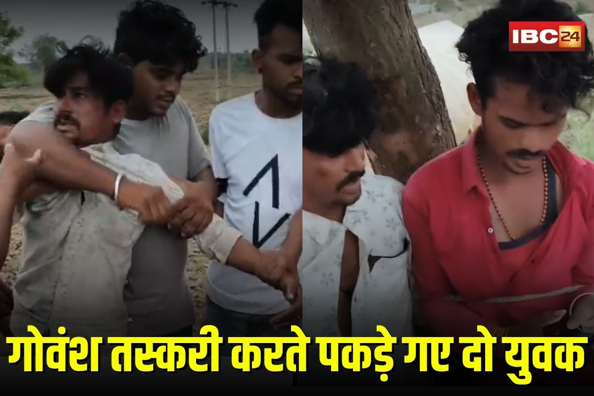Shajapur Viral Video: गोवंश तस्करी करते पकड़े गए दो युवक, गोरक्षकों ने की पिटाई, पेड़ से बांधकर सौंपा पुलिस को, वीडियो हुआ वायरल