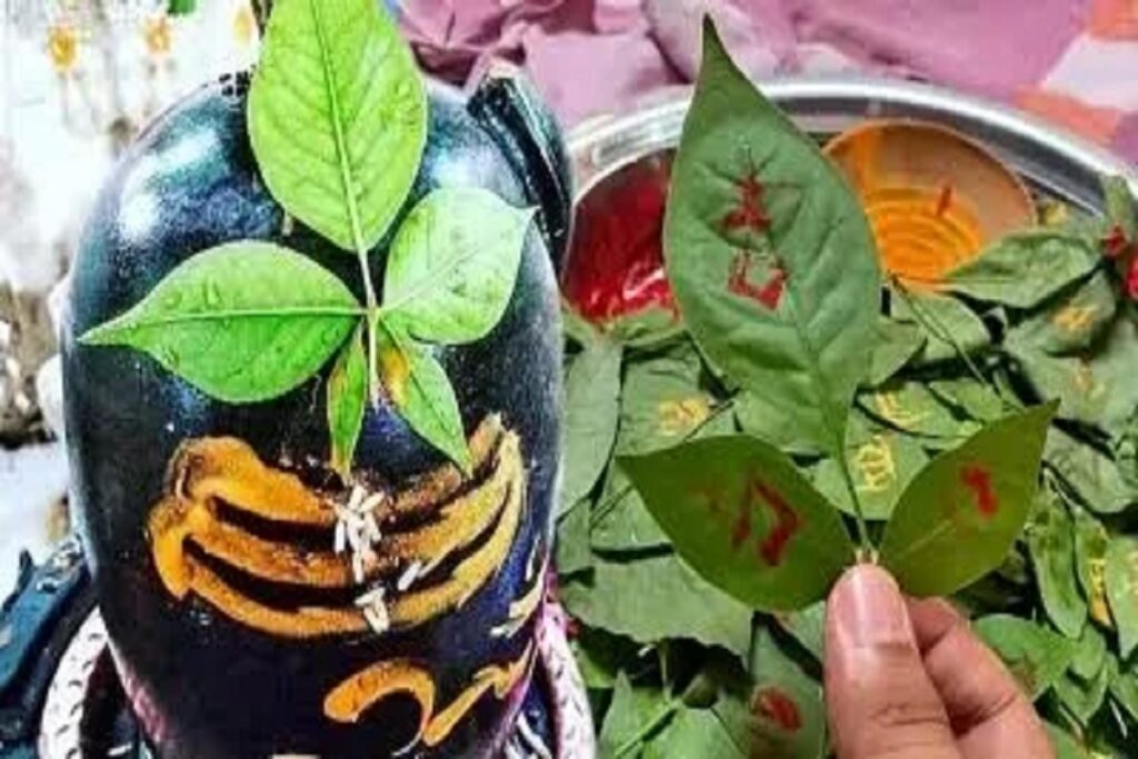 Shivling par belpatra ka mahatva