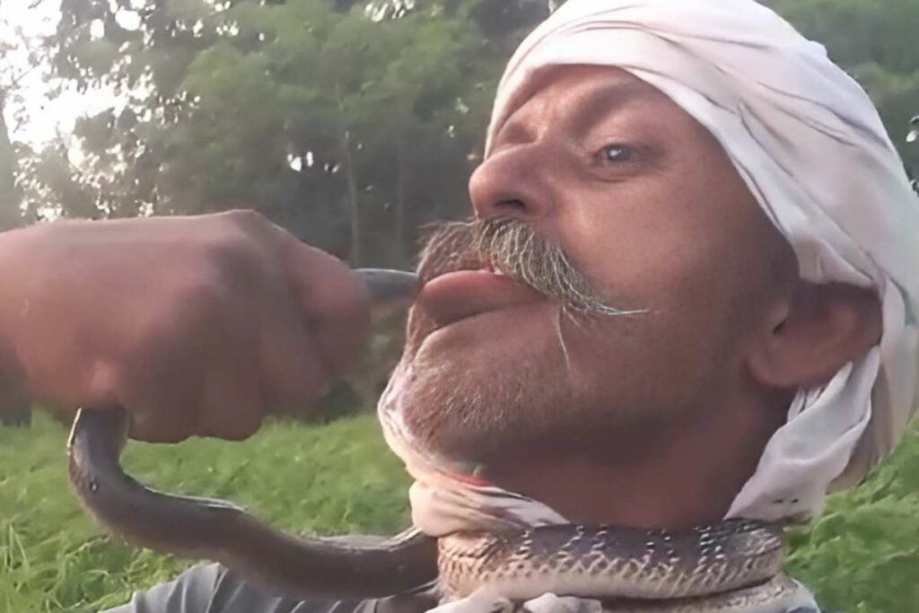 Stunt with Snake Live Video: पहले युवक ने सांप की ली पप्पी, फिर सांप ने भी युवक को कर दिया किस / Image Source: File