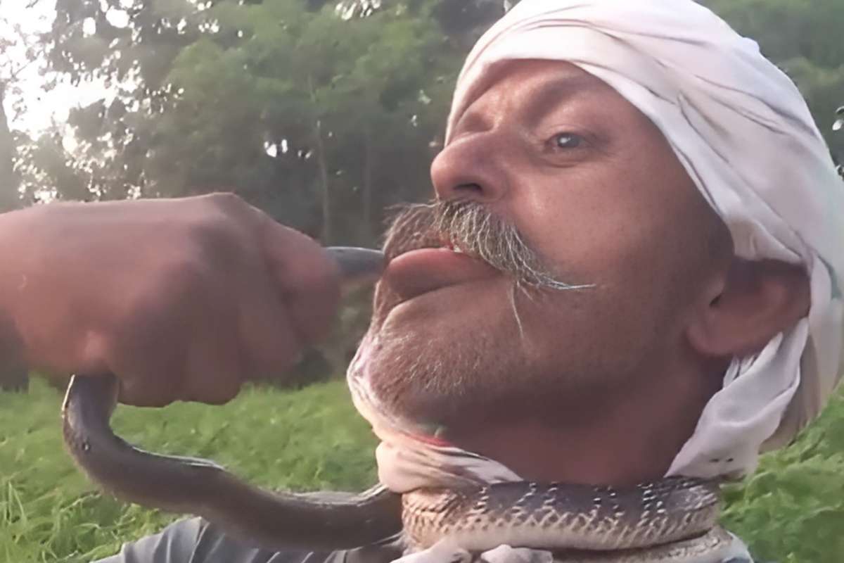 Stunt with Snake Live Video: पहले युवक ने सांप की ली पप्पी, फिर सांप ने भी युवक को कर दिया किस, कलाबाजी दिखाने के चक्कर में पहुंचा अस्पताल, देखिए वीडियो
