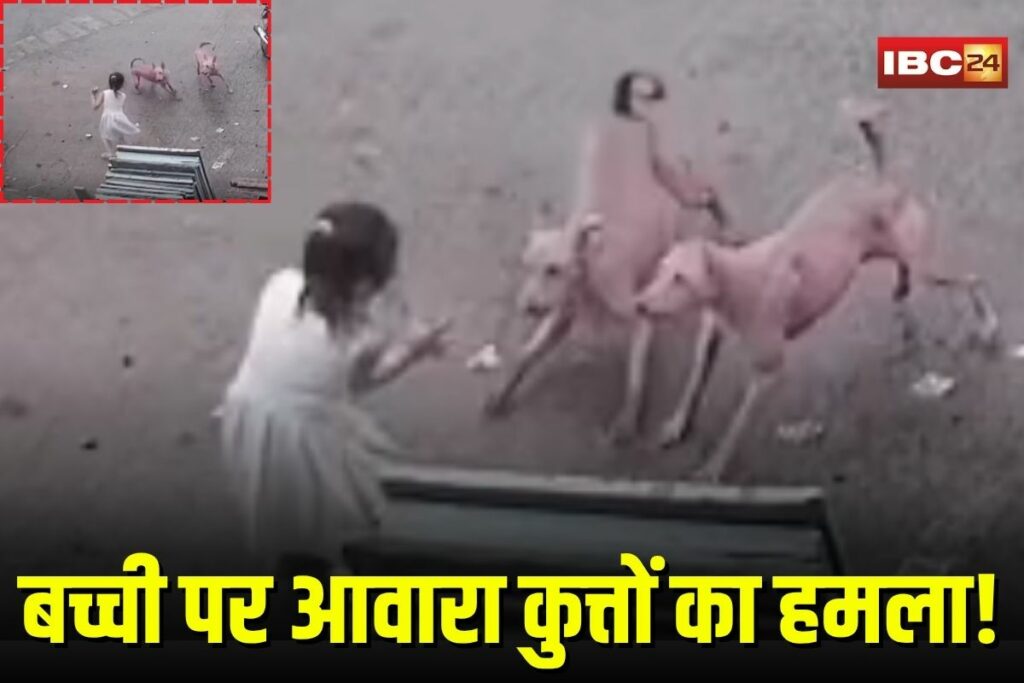 Street Dog Attack | Image Source | IBC24