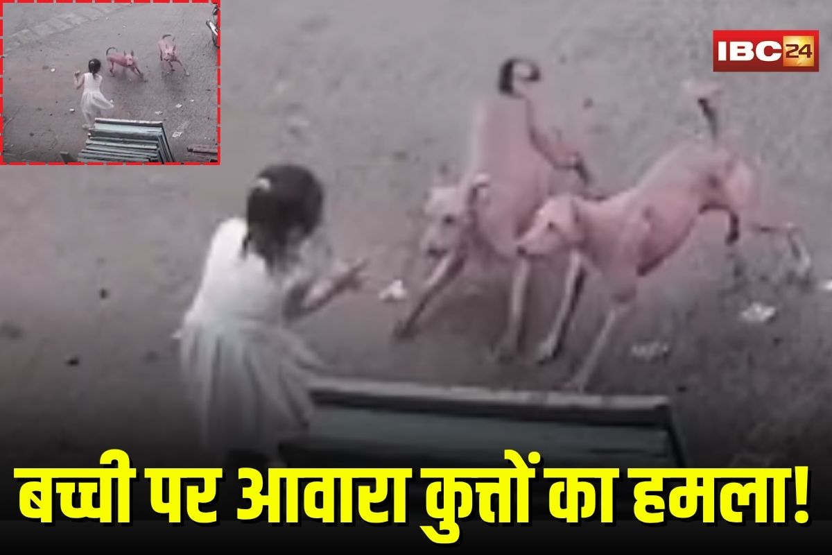 Street Dog Attack: आवारा कुत्तों ने किया 6 साल की बच्ची पर जानलेवा हमला, फिर जो हुआ देखकर कांप जाएगा रूह , CCTV में कैद हुई घटना