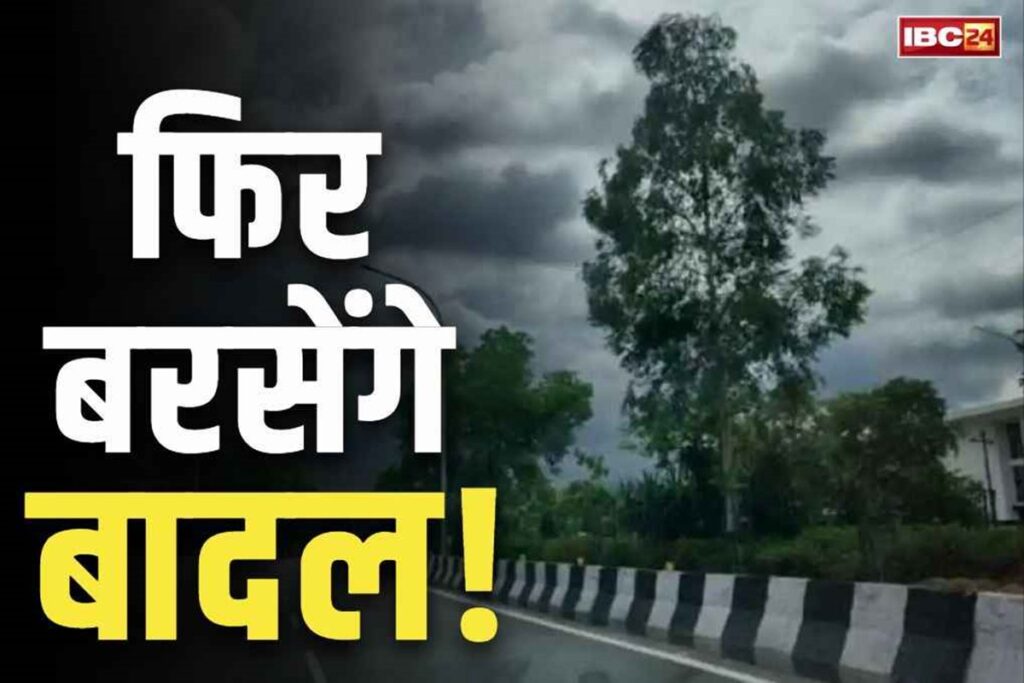 Madhya Pradesh Weather Update/Image Credit: IBC24 File