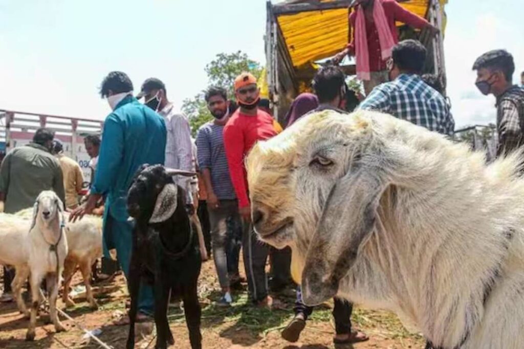 Sacrifice Ban in Baghpat? 'चाहे कुछ भी हो जाए कबरीद पर जानवरों की कुर्बानी होने नहीं देंगे'/ Image Source: Social Media X