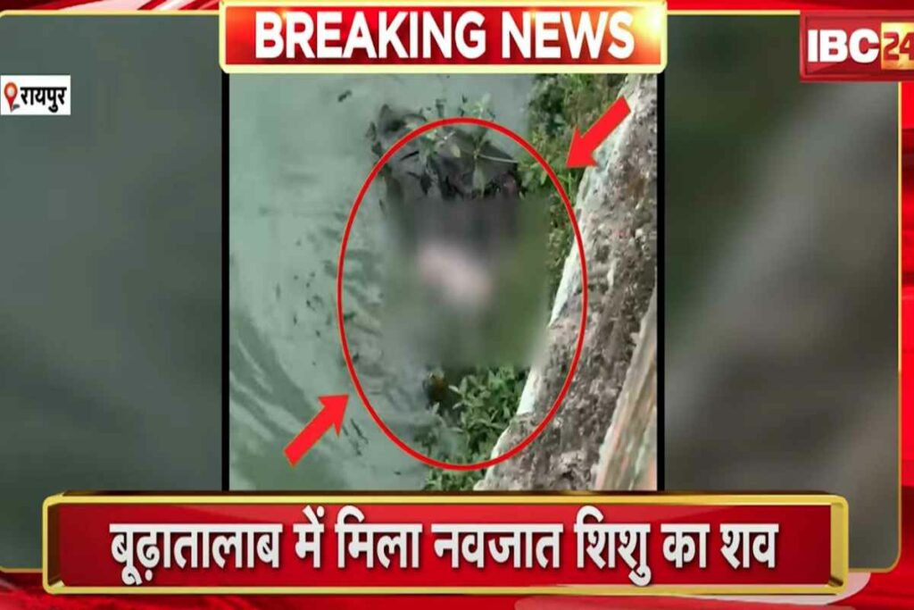 Raipur News/Image Credit: IBC24