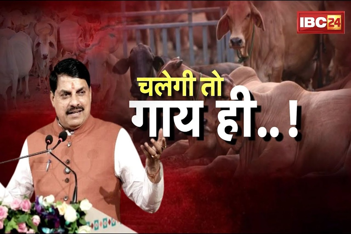 शह मात The Big Debate: गाय साधे..सब सधै! मध्यप्रदेश में गौ-नीति पर नई राजनीति, मोहन सरकार की गौ-नीति के क्या हैं मायने?