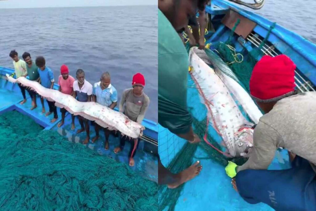 Doomsday Fish: प्रलय की मछली/Image Credit: @ManojSh28986262