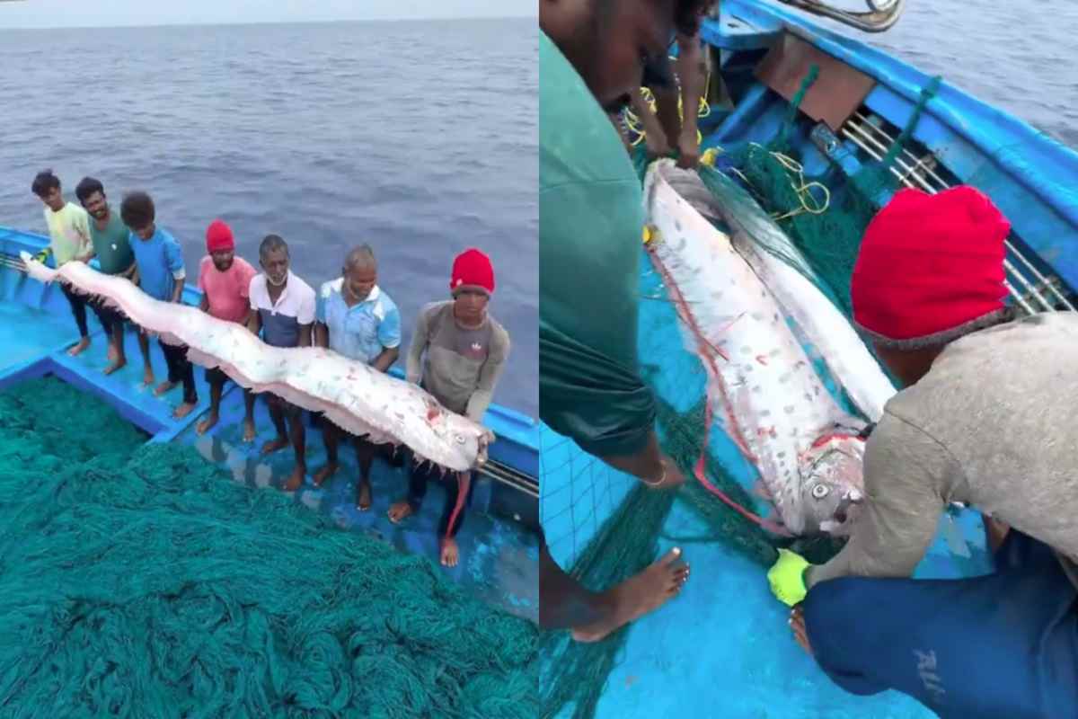 Doomsday Fish: फिर होने वाली है बड़ी अनहोनी! एक महीने के अंदर ही चार बार नजर आई ‘प्रलय की मछली’.. हो सकती है ये घटनाएं