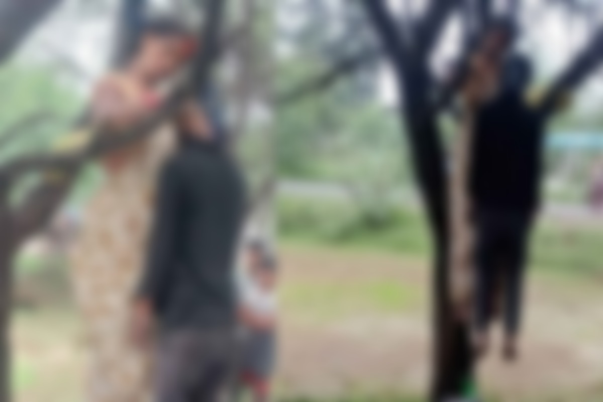Janjgir Double Suicide: जिले में पेड़ से लटकती मिली महिला और युवक की लाश, इलाके में फैली सनसनी, जांच में जुटी पुलिस