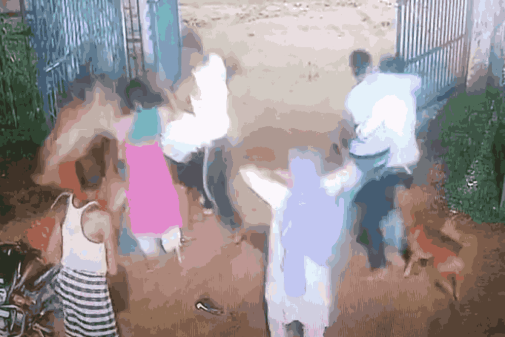 Jashpur Crime News/Image Credit: IBC24