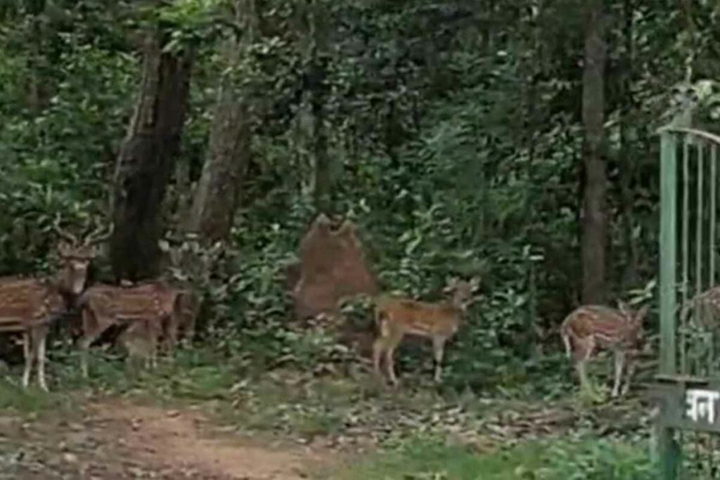 Keshkal News/ Image Credit: IBC24