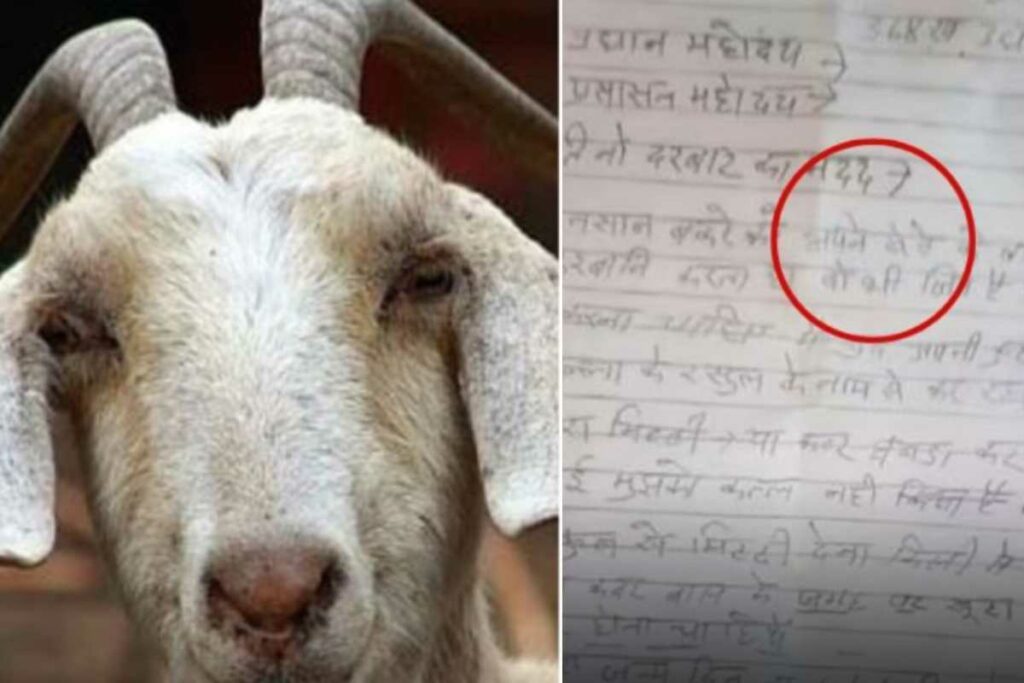 Sacrifice Himself on Bakrid : ईद पर बकरे की जगह कर दी खुद की कुर्बानी / Image source: Viral