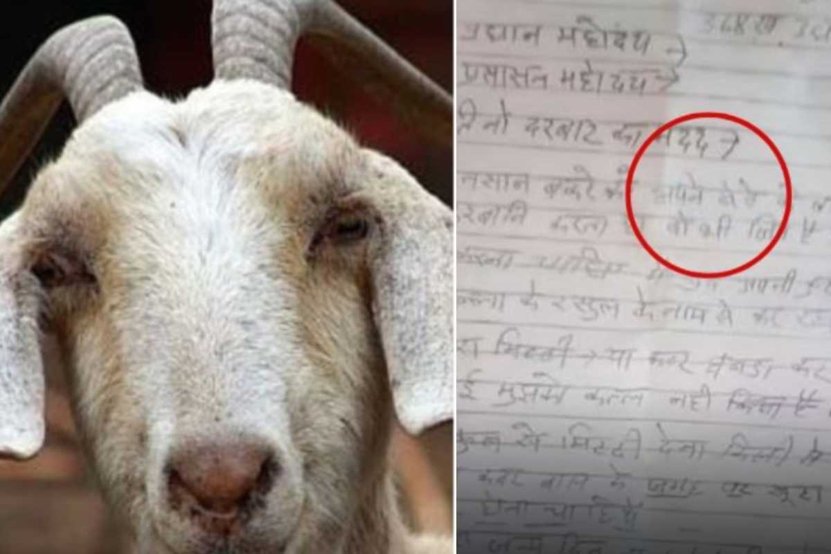 Sacrifice Himself on Bakrid : ईद पर बकरे की जगह कर दी खुद की कुर्बानी, कहा- बेटे के जैसे पाला था, कैसे मार देता, उसके खूंटे के पास बनाना मेरी कब्र