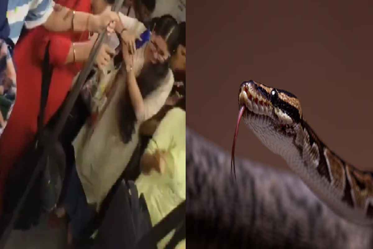 Snake In Delhi Metro : मेट्रो के महिला कोच में घुसा सांप, डरकर सीट पर चढ़े लोग, वायरल हुआ वीडियो