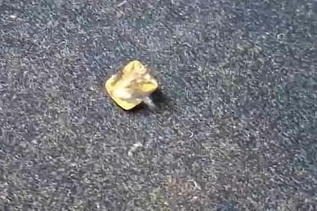 Panna Diamond News/ Image Credit: IBC24