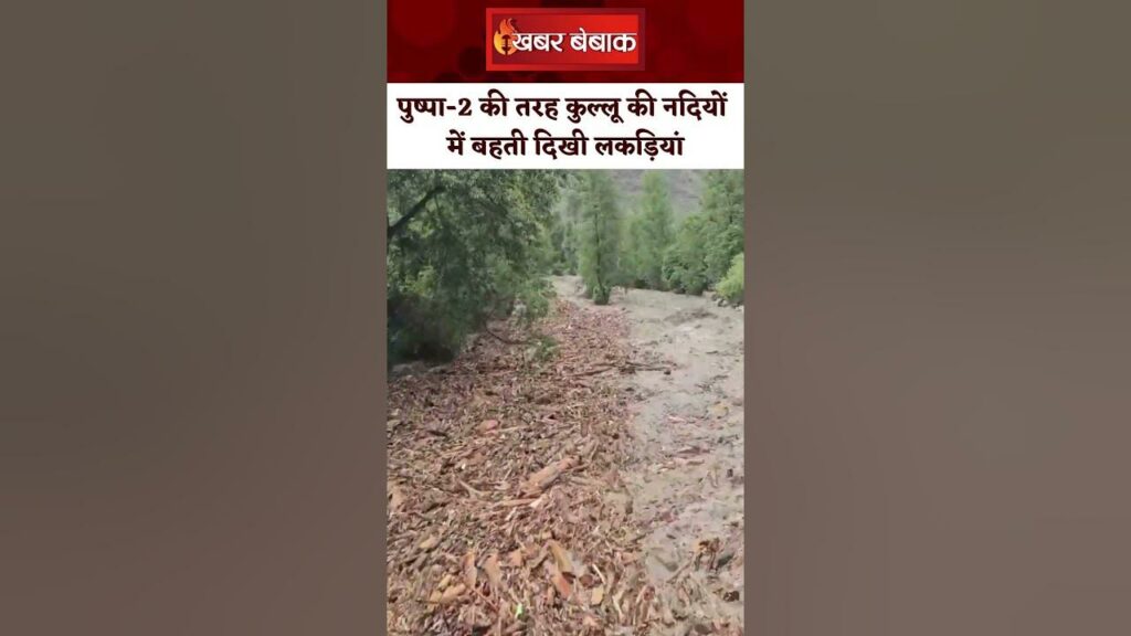 Like Pushpa-2, wood floated in the rivers of Kullu