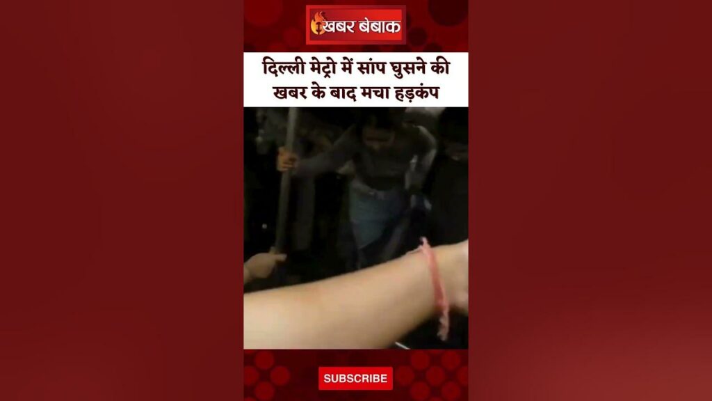 Delhi Metro Viral Video