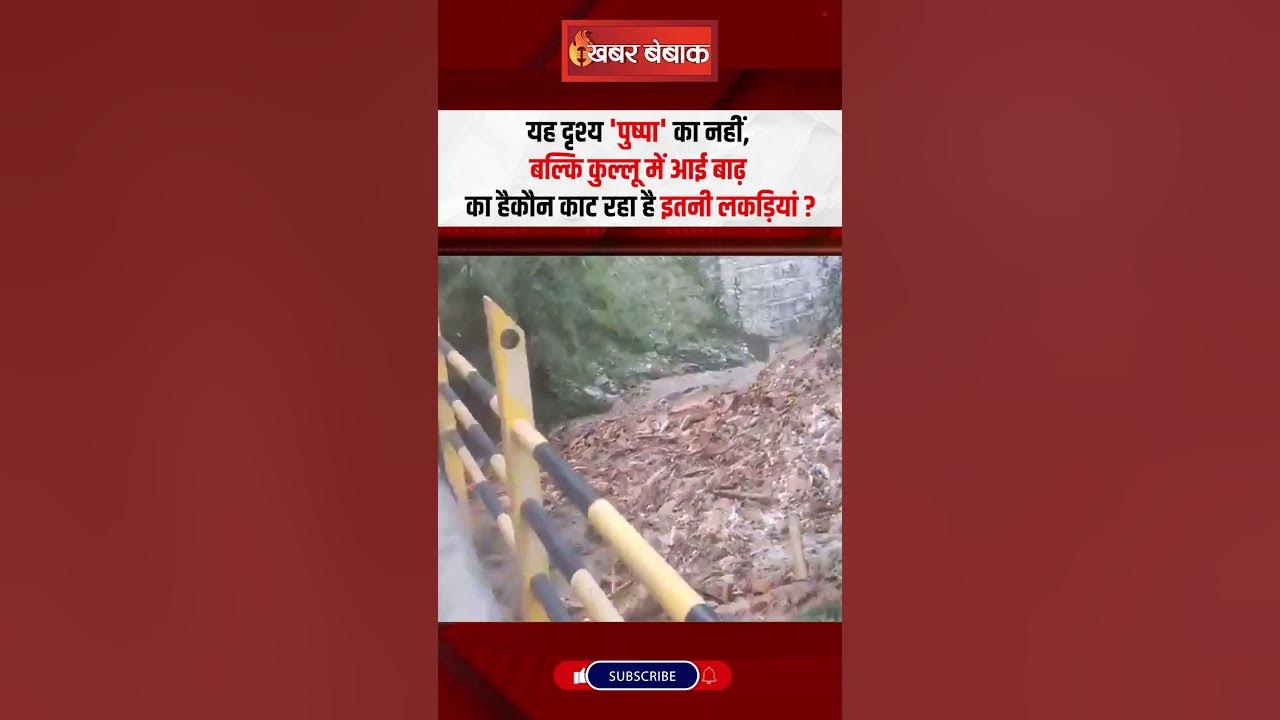 यह दृश्य ‘Pushpa’ का नहीं, बल्कि Kullu में आई बाढ़ का हैकौन काट रहा है इतनी लकड़ियां?  | Kullu Flood