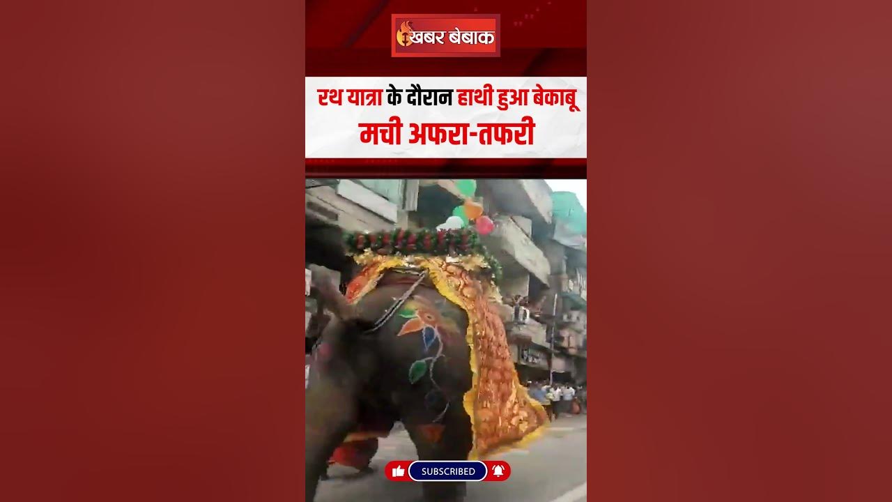 रथ यात्रा के दौरान हाथी हुआ बेकाबू, मची अफरा-तफरी | Rath Yatra Viral Video | Jagannath Rath Yatra