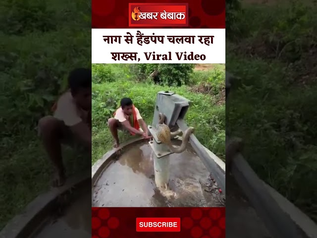 नाग से हैंडपंप चलवा रहे शख्स का Video Viral | #snake #viralnews #shortsfeed
